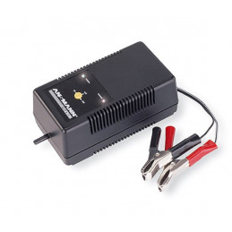 Chargeur ANSMANN ALCT6-24/2 - Tension réglable 6V/12V/24V - Pince croco