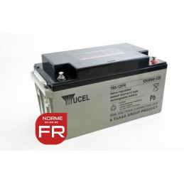 YUCEL 12V - 65Ah - Y65-12IFR - AGM