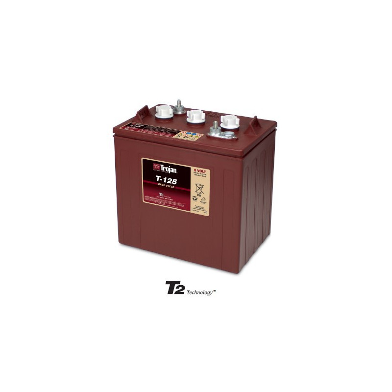 Batterie 125 ex CR235 TROJAN - DEEP CYCLE ACIDE - 6V - 240Ah