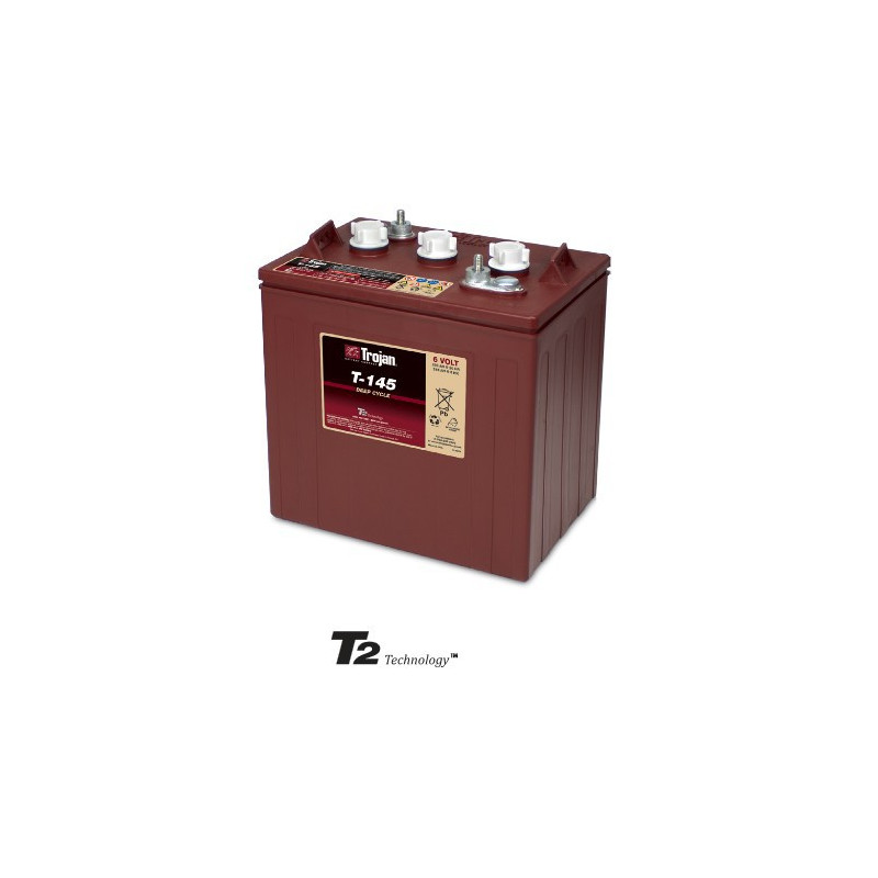 Batterie T145 ex CR245 TROJAN - DEEP CYCLE ACIDE - 6V - 260Ah