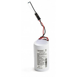 CHRONO Pile Batterie Alarme Compatible SENTINEL Pro lithium - D - LSH20 - 3,6V - 13,0Ah + Connecteur