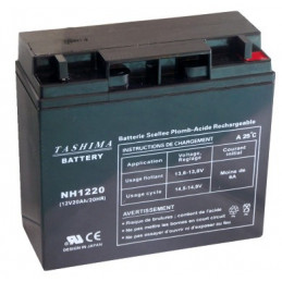 TASHIMA Batterie 12V – 20Ah - NH1220 - Spécial Moto BMW / Tondeuse HONDA