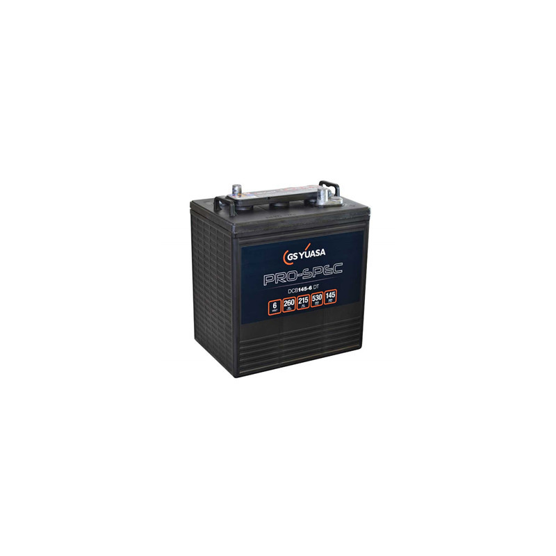 Batterie DCB145-6 - YUASA PRO-SPEC - DEEP CYCLE - Compatible T145 ex CR245 - 6V - 260Ah