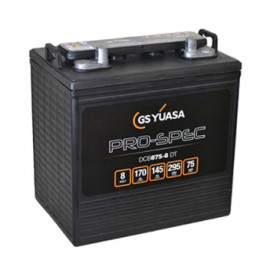 Batterie DCB875-8 - YUASA PRO-SPEC - DEEP CYCLE - Compatible T875 ex CR165 - Golfette - 8V - 170Ah