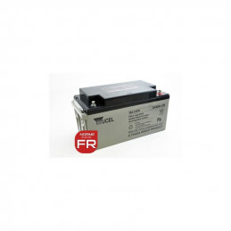 Batterie Y65-12FR YUASA / YUCEL - Plomb - AGM - 12V - 65.0Ah